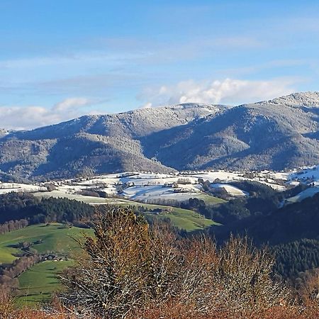 Ferienwohnung Birkental Ebringen Luaran gambar
