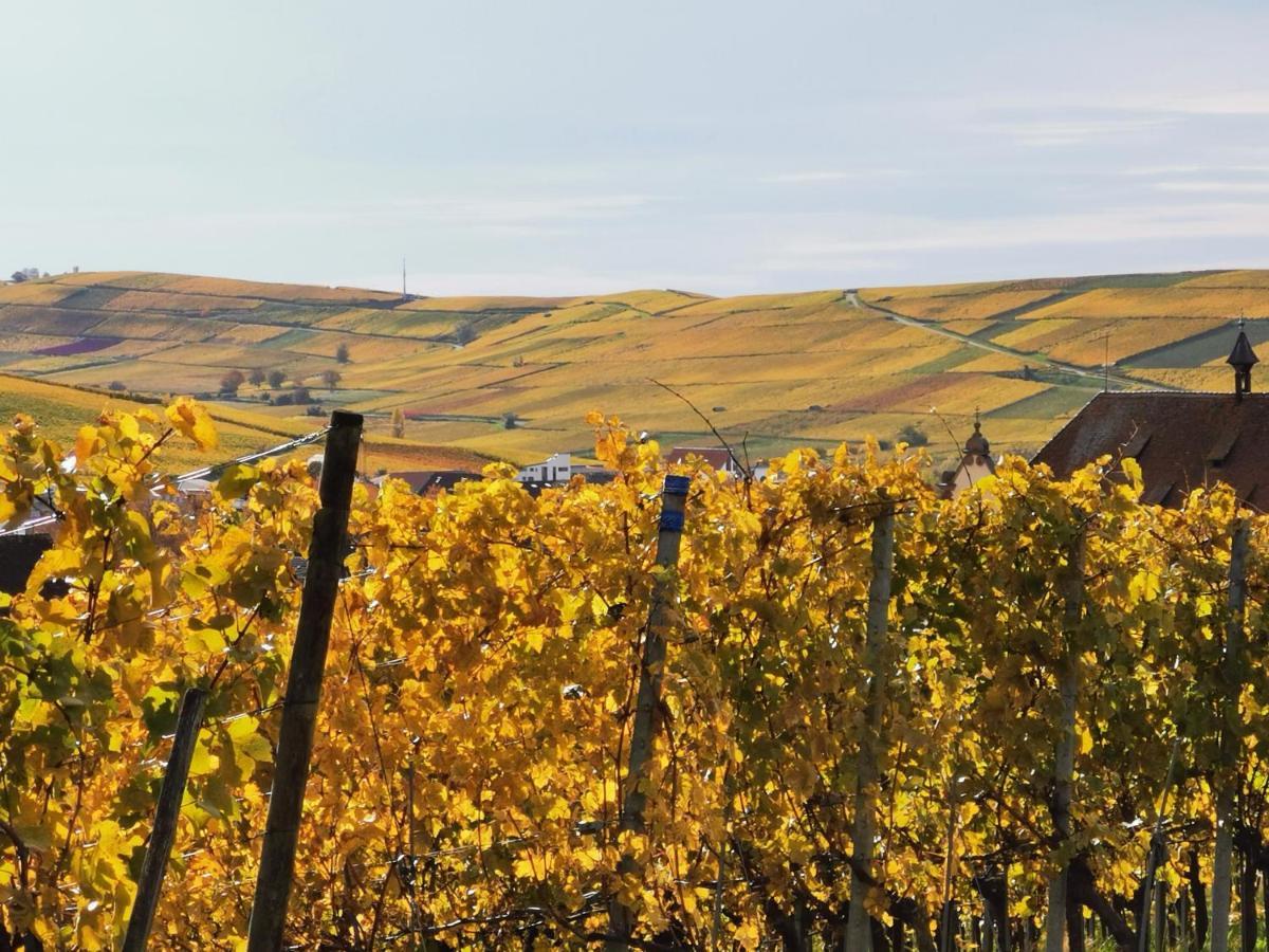 Ferienwohnung Birkental Ebringen Luaran gambar
