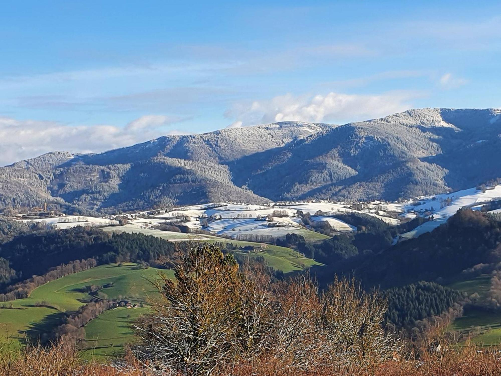 Ferienwohnung Birkental Ebringen Luaran gambar