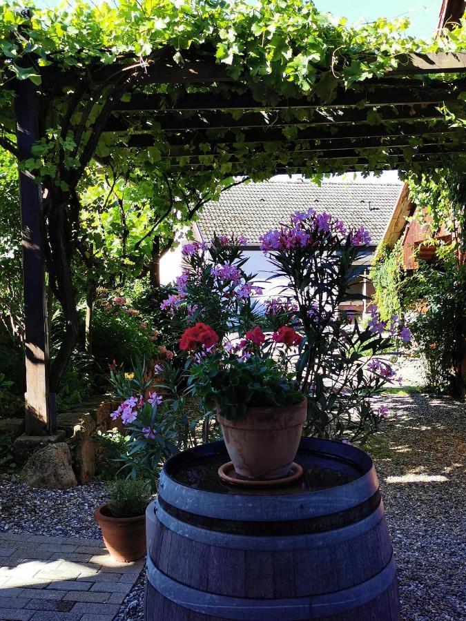Ferienwohnung Birkental Ebringen Luaran gambar