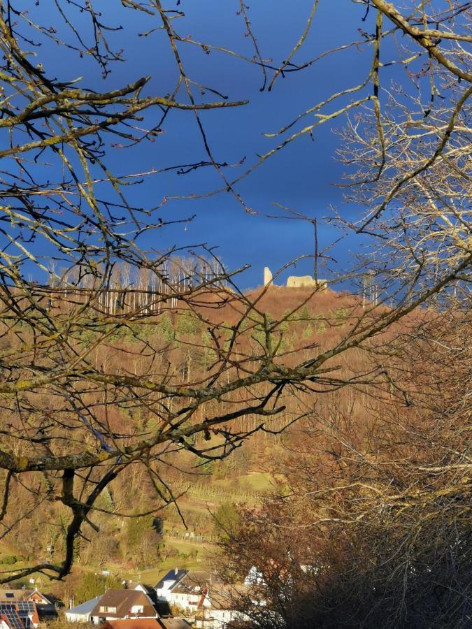 Ferienwohnung Birkental Ebringen Luaran gambar